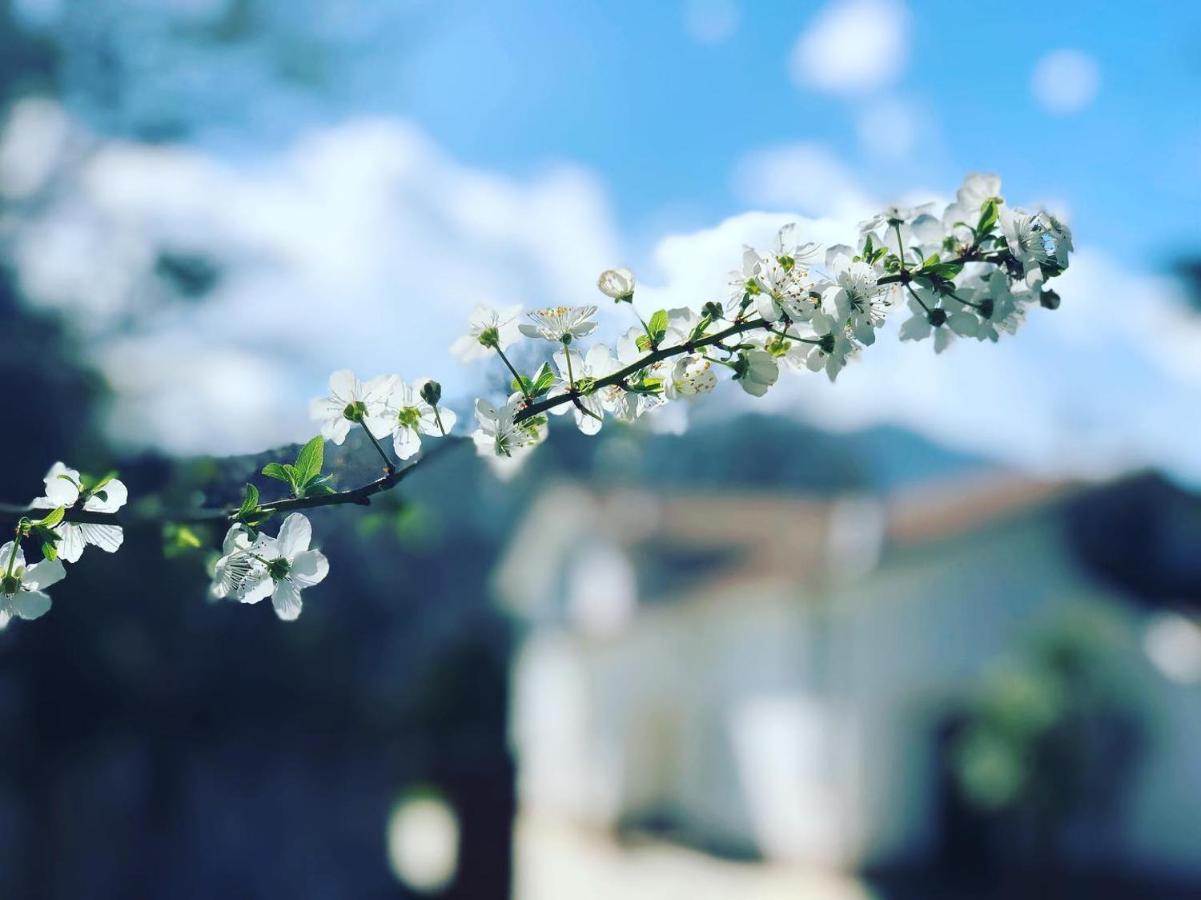 B&B Zac House Toirano Dış mekan fotoğraf